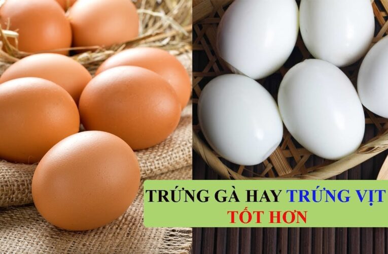 Trứng gà – trứng vịt, cái nào tốt hơn cho mẹ bầu?