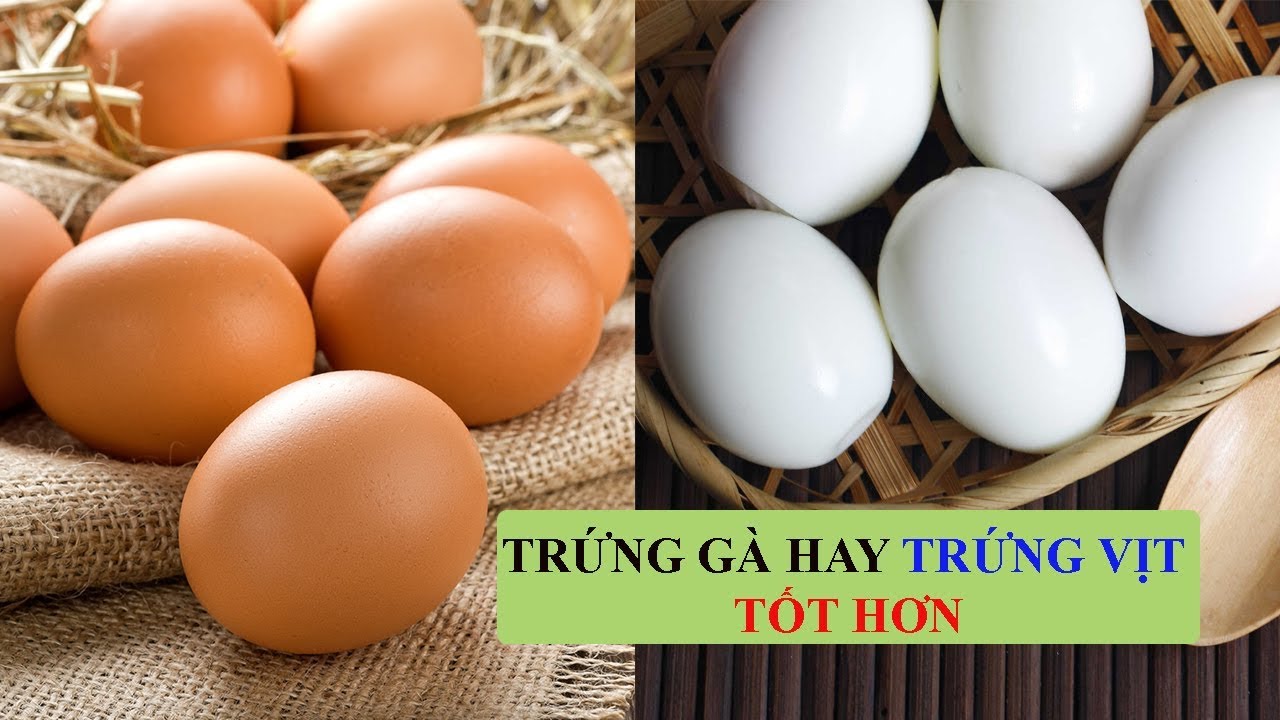 Trứng gà - trứng vịt, cái nào tốt hơn cho mẹ bầu?